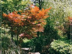 -昆山城市生态森林公园