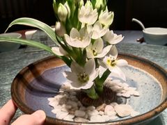 -南堂馆·新川菜(天府三街店)