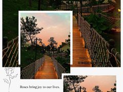 -武汉木兰草原风景区