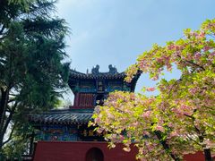 -洛阳白马寺