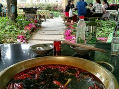 -秀丽东方