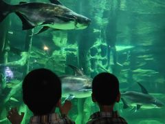 -龙谷湾旅游休闲度假区