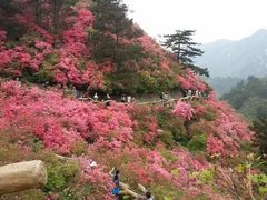 -木兰云雾山