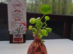 -野蔓果·山野菜(西湖景区·龙井茶田店)