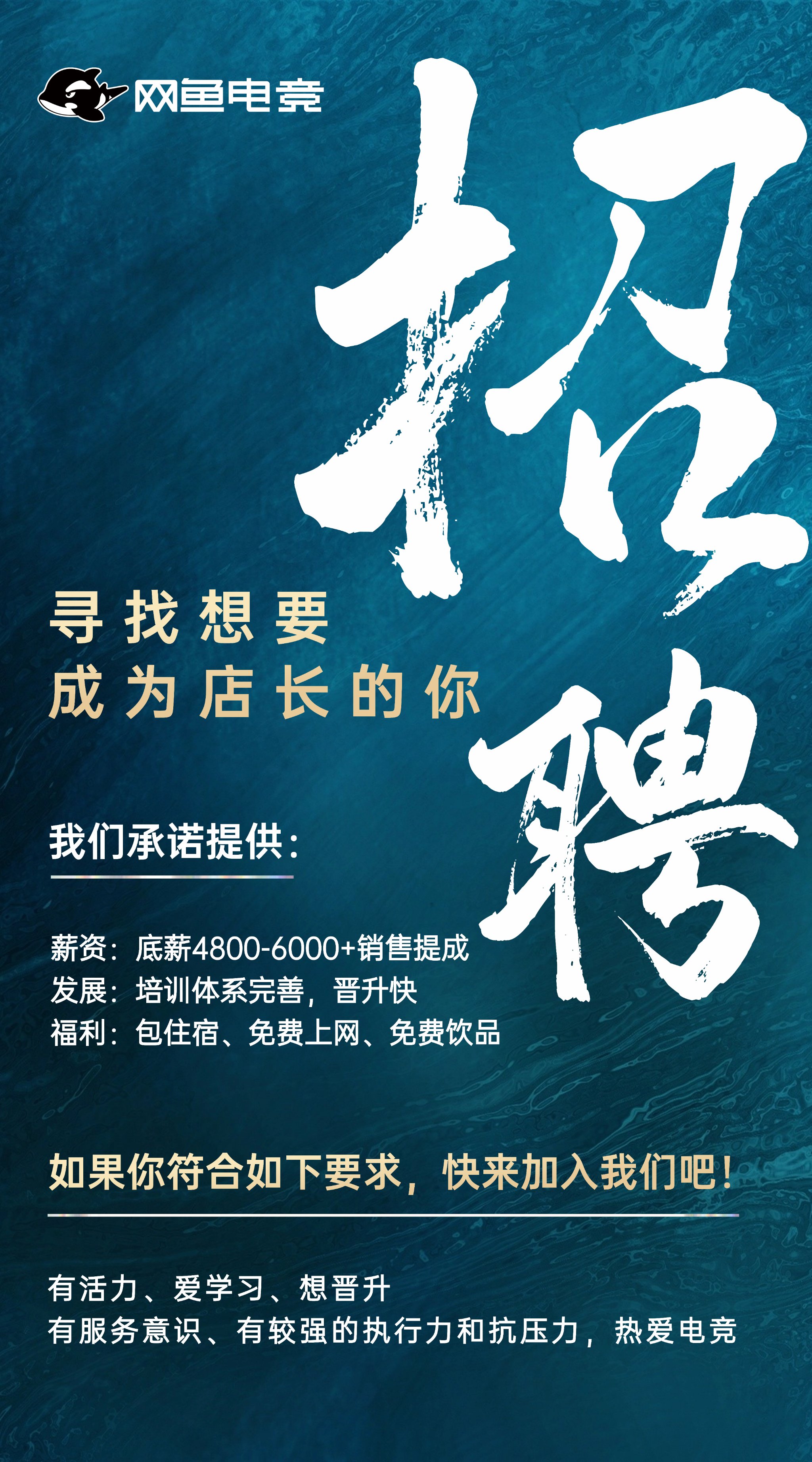 致富网络科技有限公司招聘(致富网络科技有限公司招聘电话)