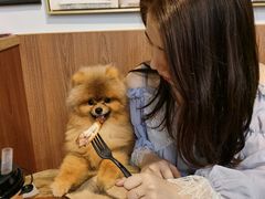 -柯斗斗主题餐厅·狗咖·围炉煮茶·茶饮(国瑞升平里店)