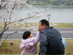 -羊山湖公园
