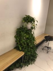 -华卫思理轻奢造型