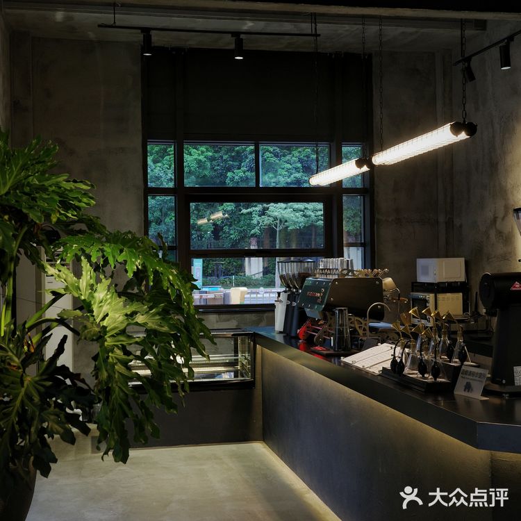 城市咖啡角落随性一刻🐢与保安室巨型龟的午后