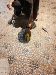 -酷嗒动物文化乐园(cutezoo西溪乐天城店)