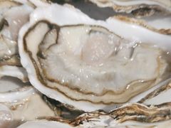 -周记老沈阳焦火鸡架