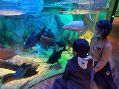 -沈阳海洋探索中心