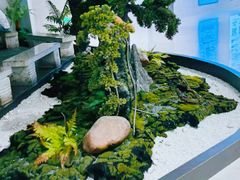 -蔼若春.传承三十年云南菜(金碧公园店)