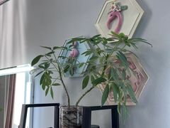 -ME觅妆·定制美妆·彩妆私教(菱角湖店)