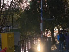 -花溪公园