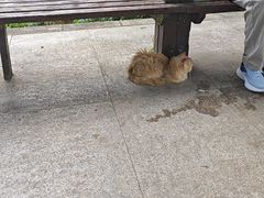 -萨尔浒风景区