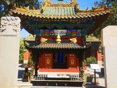 -药王庙(安国市)