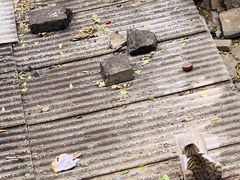 -何适山庄 ·可团建(水长城P2停车场店)