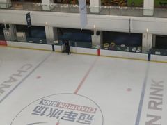 -炫采冰场(红博中央公园商场店)