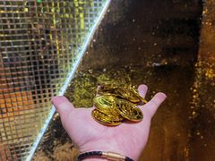 -不可思议减压馆·解压博物馆·摔碗发泄·团建定制