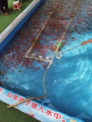 点击看大图 -萌宠亲子动物乐园(槐房万达店)