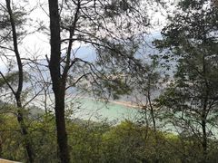 -铁山坪森林公园