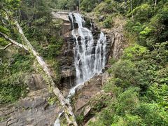 -海南热带雨林国家公园吊罗山景区