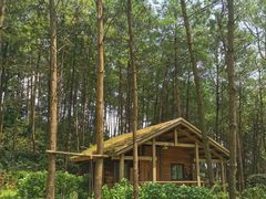 -重庆雨台山风景区
