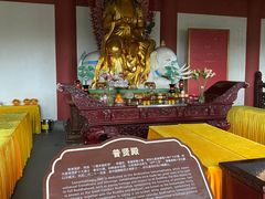 -上海东林寺(金山区)