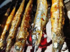 -很久以前羊肉串(农科路店)