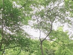 -音乐台