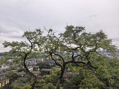 -桂林独秀峰王城景区