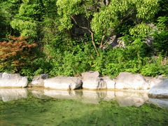-上海吴淞炮台湾国家湿地公园