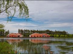 -上海长兴岛郊野公园