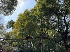 -上海野生动物园