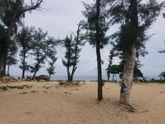 -西涌国际滨海旅游区