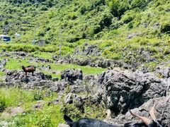 -天河潭旅游度假区