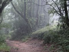 -虞山风景区