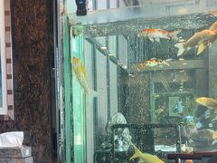 -浩运海鲜·16年专注青岛菜(石老人店)