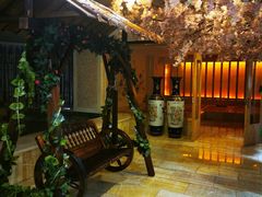 -碧中海汤泉汗蒸酒店