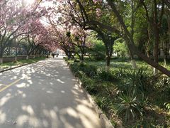 -西安理工大学(金花校区)