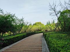 -同里国家湿地公园