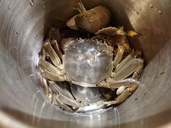 大闸蟹-蓝钻·国际美食海鲜自助百汇(西直门店)