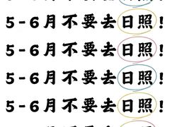 -日照海滨国家森林公园
