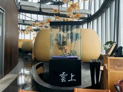 -雲上錢屋·地标景观(上海中心店)