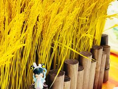 -盒马鲜生(金桥国际广场店)