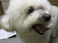 -爱侣宠医·鹦鹉专科·小型哺乳类·异宠专科(灵石路店)