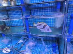 -晶渔坊·海鲜私房菜(东夷小镇店)