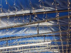 -墨脱石锅椰子鸡•香草鸭•东山羊(大东海店)