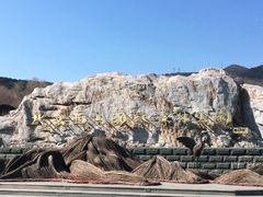 -北京西山国家森林公园